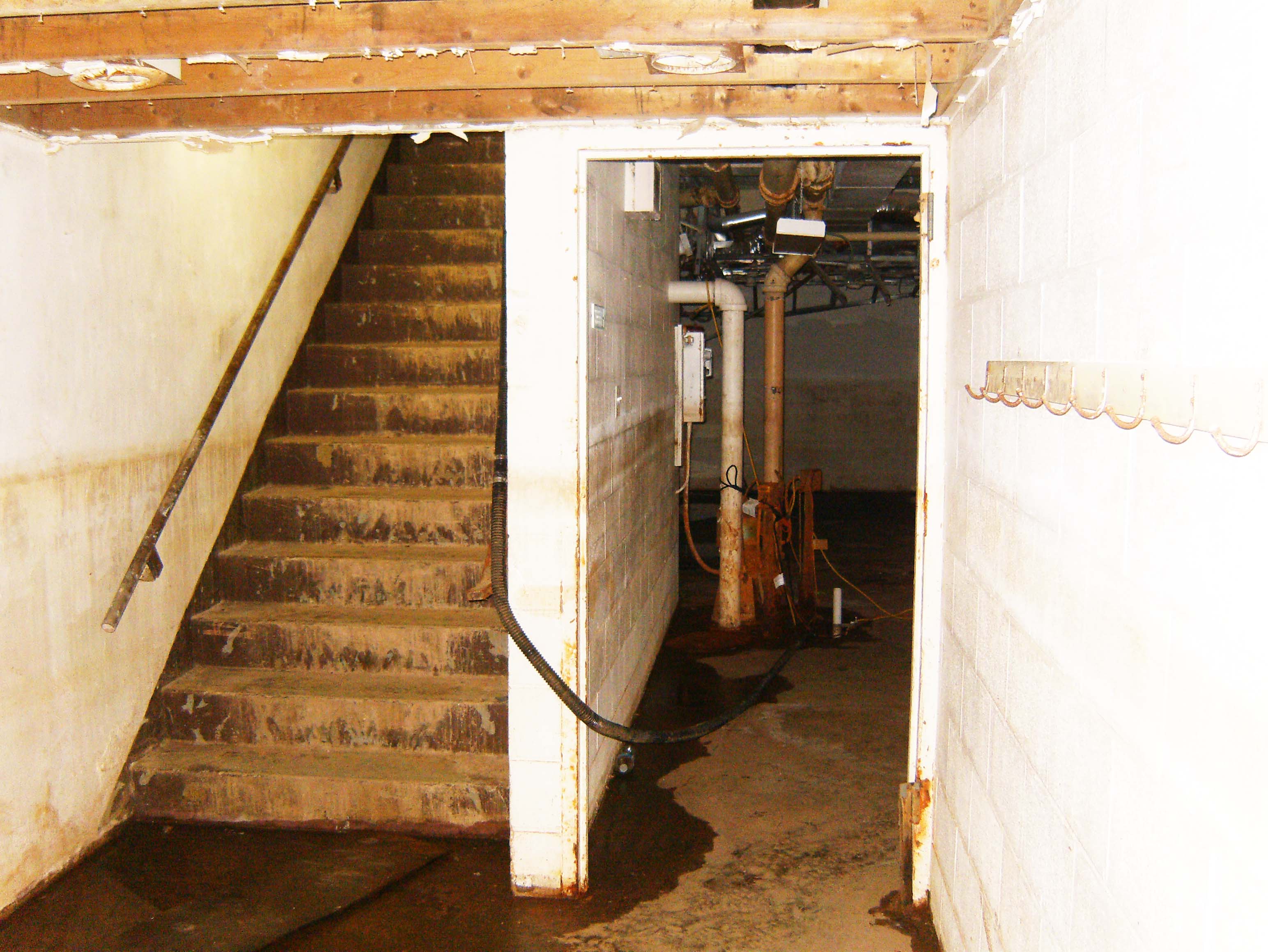 Stairs to the Basement