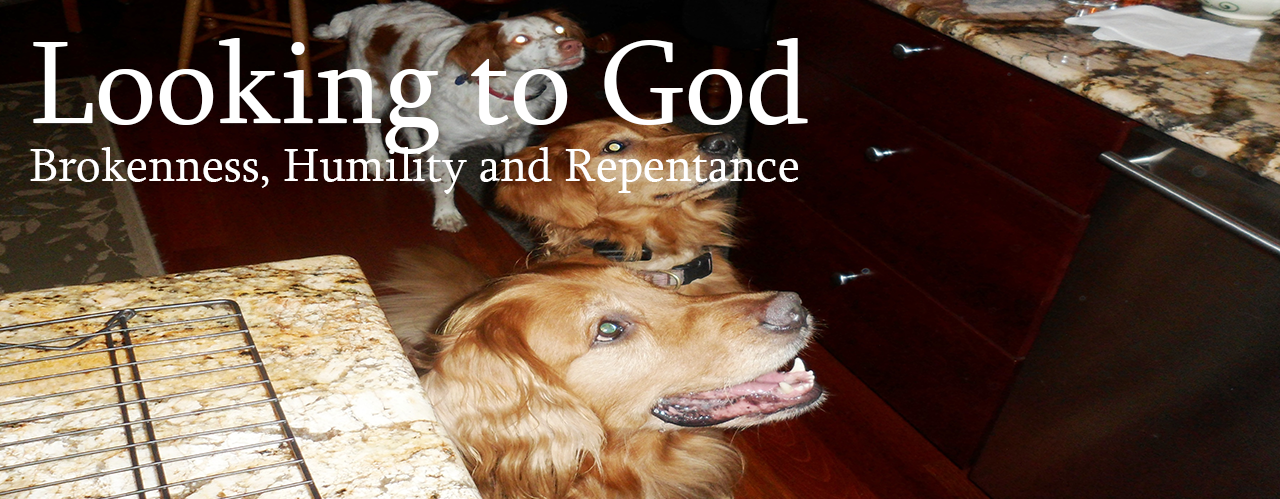 Looking to God - Brokenness, Humility and Repentance