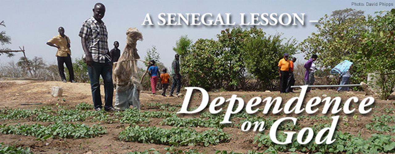 Senegal Mission Initiative