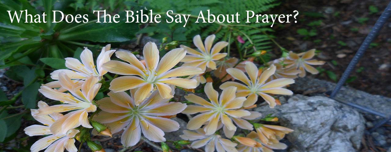 What Does The Bible Say About Prayer?