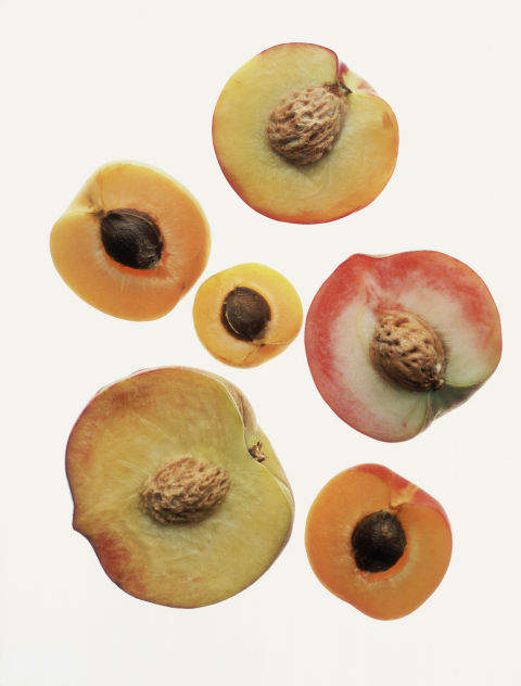 Apricots, Peaches, and Nectarines