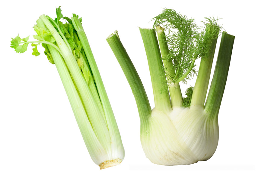 Celery and Fennel