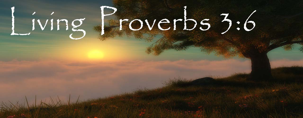 ﻿ Living Proverbs 3:6