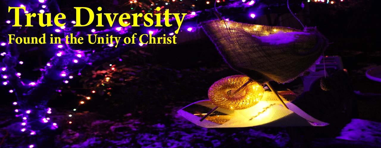True Diversity Found in the Unity of Christ