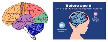 How to Encourage a Child’s Brain Development