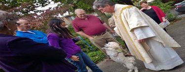 The Blessing of Animals