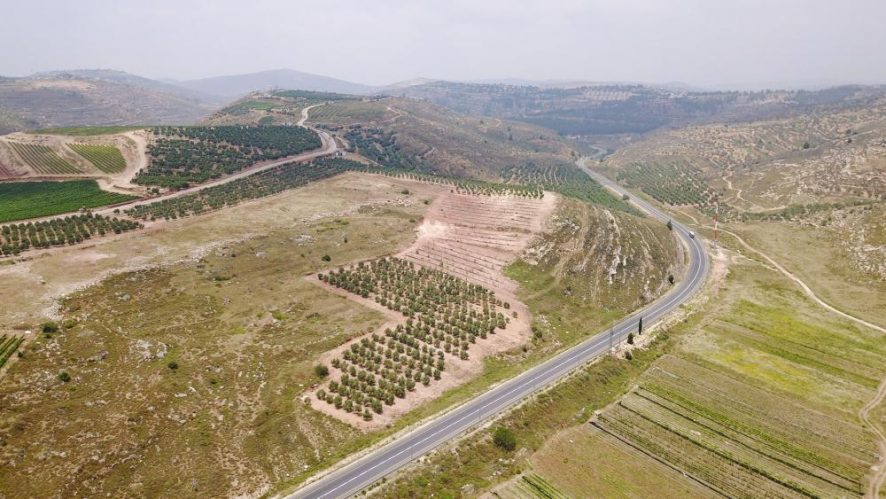 Aerial view of ancient Shiloh, Photo, CBN News, Jonathan Goff