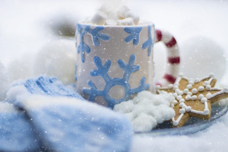 Gingerbread cookies with your hot cocoa while wearing your mittens