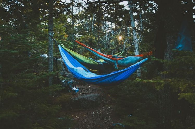 If you’re planning on tent camping, double and triple check that you have everything you need. (Image- Jake Ingle, Unsplash)
