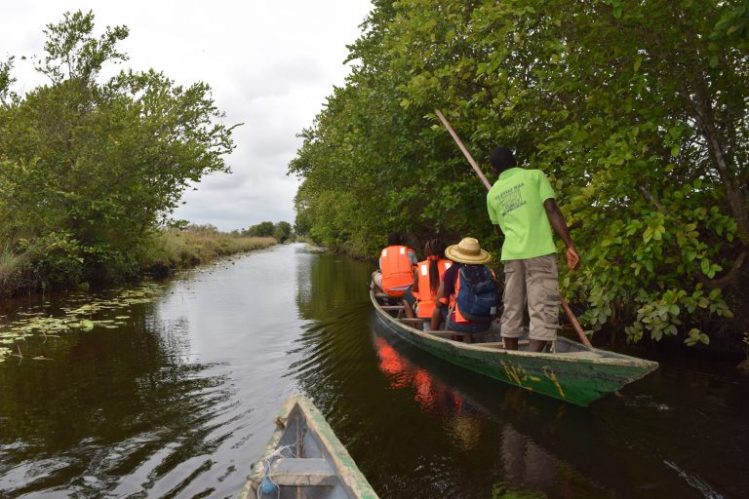 The village is located in the Western Region (90 km from Takoradi).