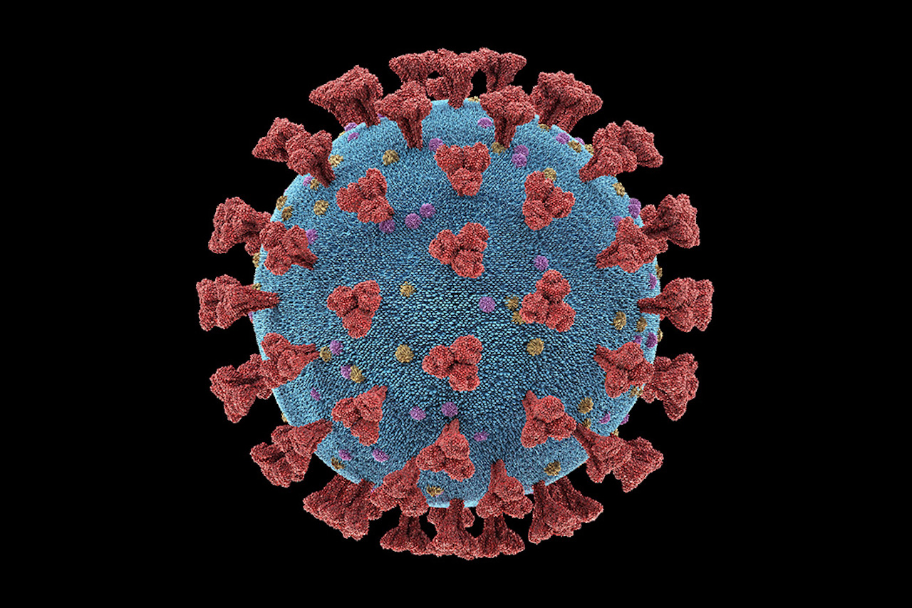 Coronavirus particle, illustration. Different strains of coronavirus are responsible for diseases such as the common cold, gastroenteritis and SARS (severe acute respiratory syndrome). A new coronavirus (2019-CoV) emerged in Wuhan, China, in December 2019. The virus causes a mild respiratory illness that can develop into pneumonia and be fatal in some cases. The coronaviruses take their name from their crown (corona) of surface proteins, which are used to attach and penetrate their host cells. Once inside the cells, the particles use the cells' machinery to make more copies of the virus. (Image by KTSDesign/Science/Getty Images/Science Photo Library RF)